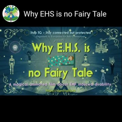 Why EHS is not a fairytale