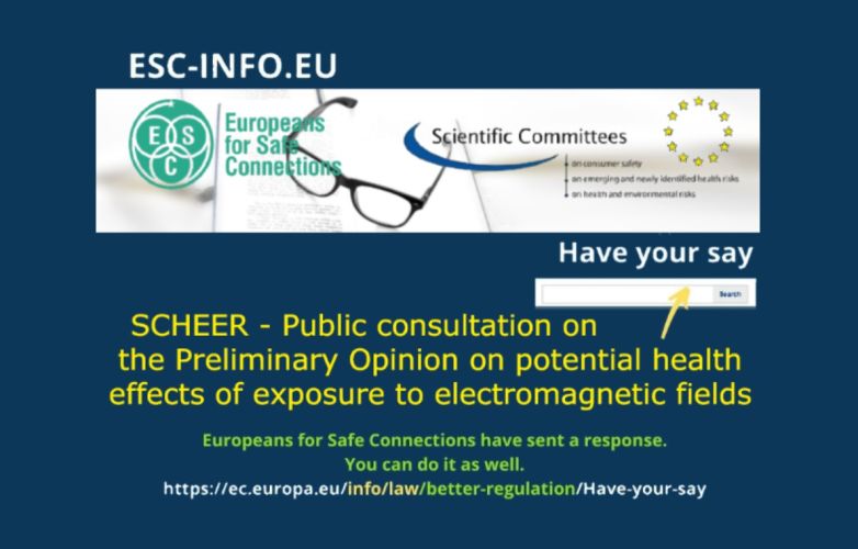 Public consultation on the SCHEER Preliminary Opinion on potential health effects of exposure to EMF