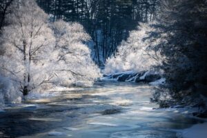 winter