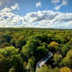 ESC is preparing an international event for the summer 2027 in Hainich Park