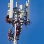 Scientists Warn the FCC: Fast-Tracking Cell Towers Risks Public Health and the Environment