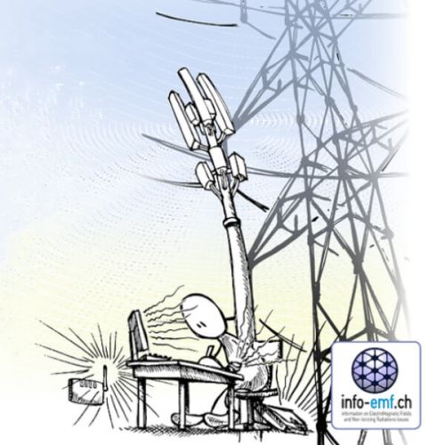 info EMF Conference Martigny 2024