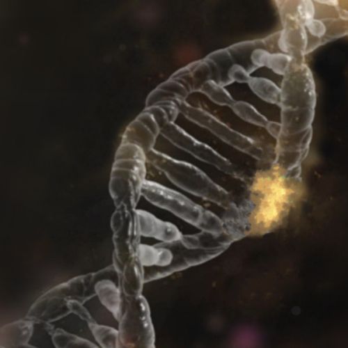 Genotoxic Effect