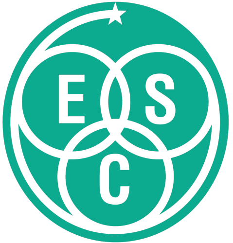 Europeans for Safe Connection