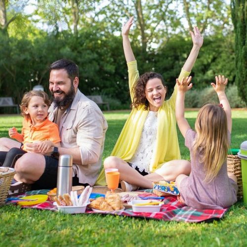 Picnic without mobile phones