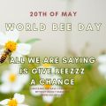 0520bees02