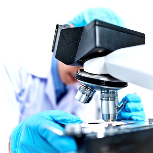 Does Electromagnetic Pollution in the ART Laboratory Affect Sperm Quality